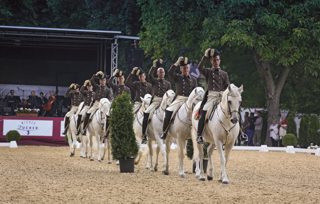 Veranstaltung - Lipizzaner Gala