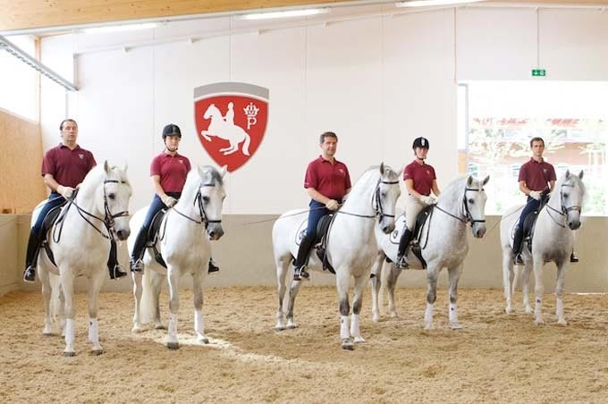 Trainingszentrum der Lipizzaner am Heldenberg