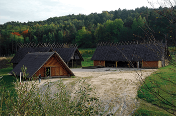Stone Age village / Neolithic village