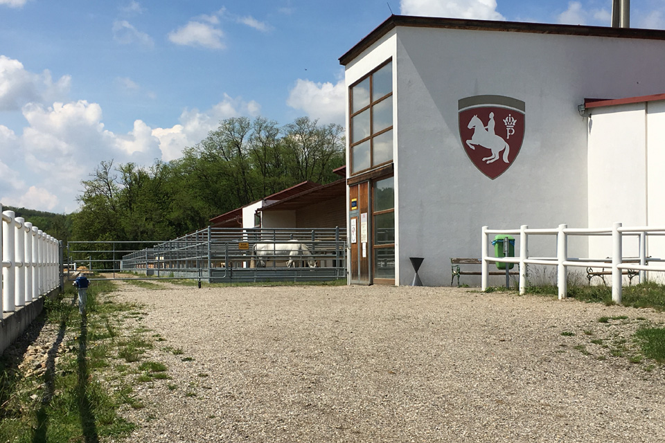 Lipizzaner Trainingszentrum Heldenberg © SRS
