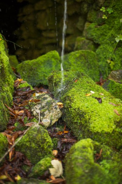 Natur am Heldenberg - Wasserquelle